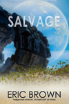 Salvage by Eric Brown